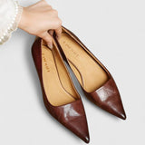 Zhaylisse | Chic Elegant Heels
